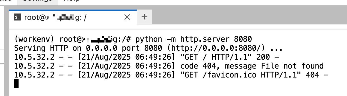 image-20250821144708764