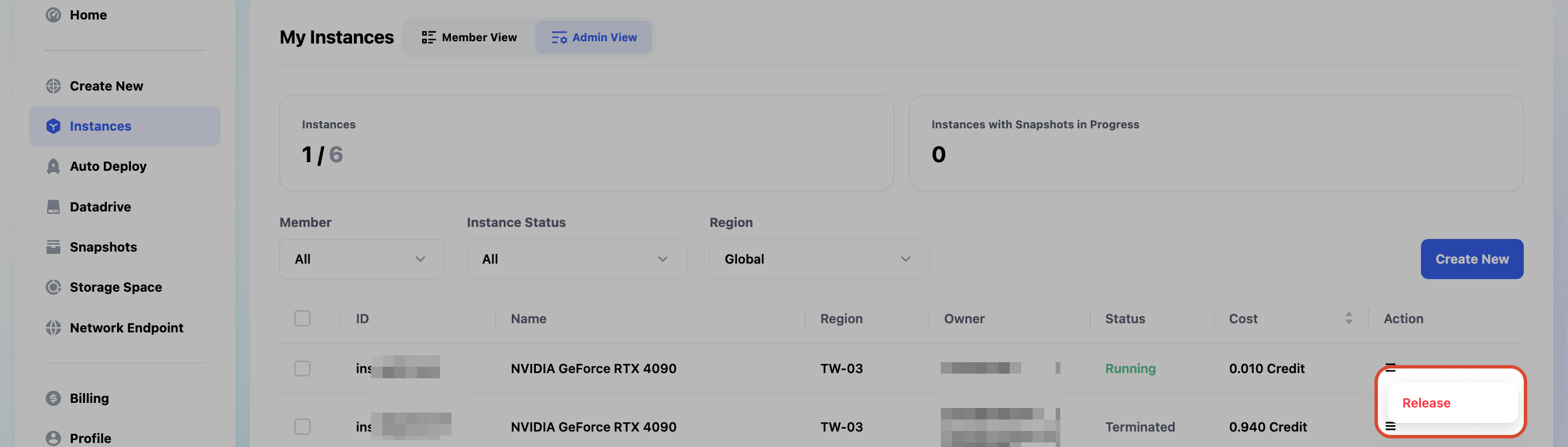 Release Instance