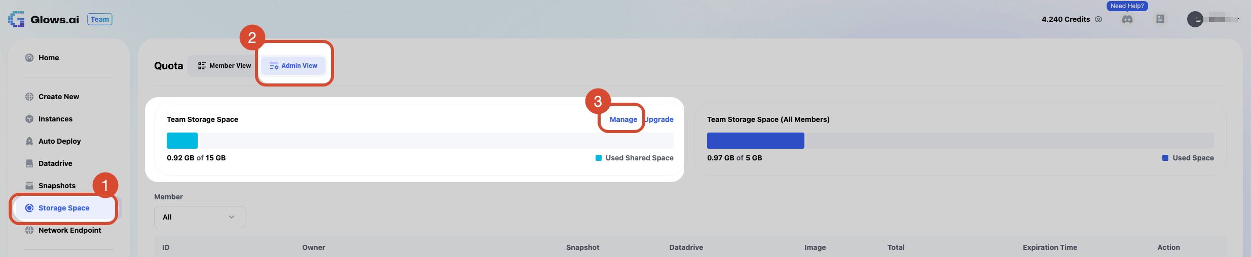 Manage Team Storage